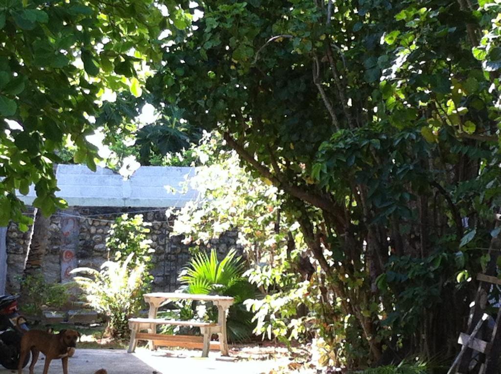 Hostal Casaluna San Andres エクステリア 写真