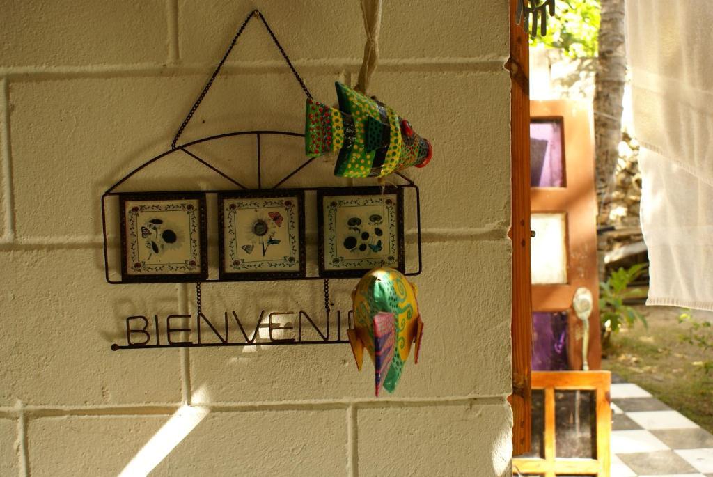 Hostal Casaluna San Andres 部屋 写真