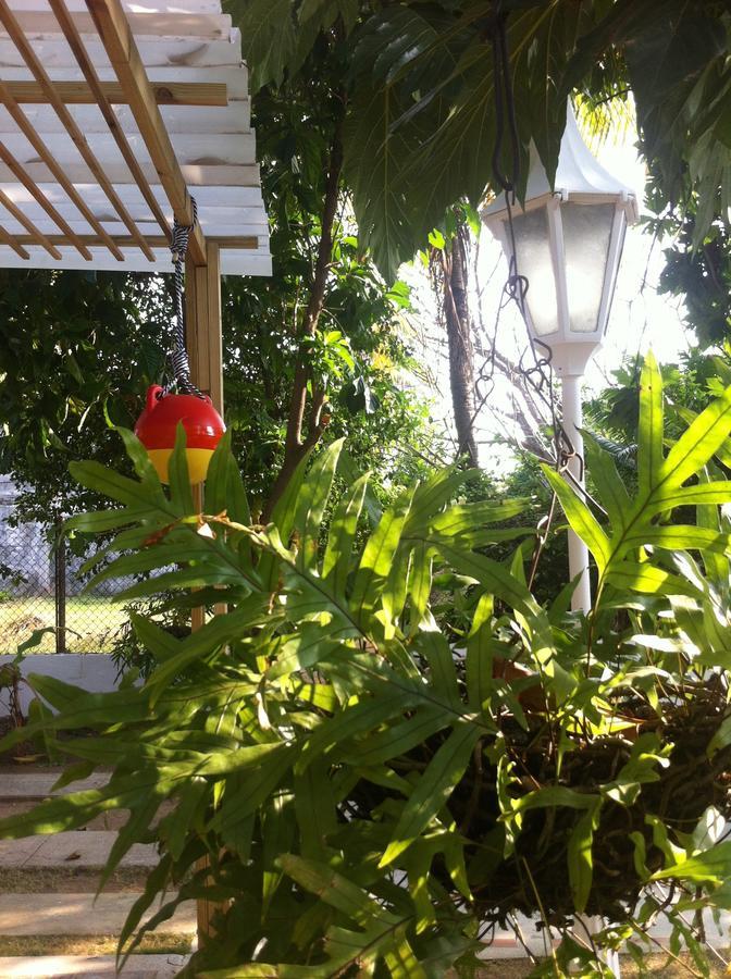Hostal Casaluna San Andres エクステリア 写真